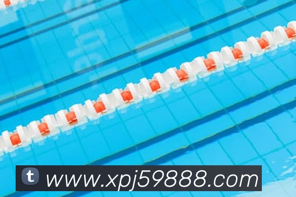 互动解说服务